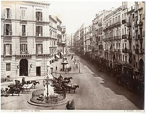 Archivo:Sommer, Giorgio (1834-1914) - n. 6110 - Napoli - via Roma - ca. 1870