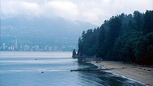 Archivo:Stanley Park 1999 Rain