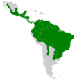 Sturnira lilium map