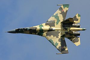 Archivo:Sukhoi Su-35S in 2009 (2)