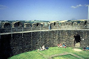 Archivo:The Ramparts of Totnes Castle - geograph.org.uk - 28738