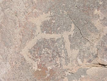 Archivo:Toro Muerto Archaeological site - petroglyph (llama)