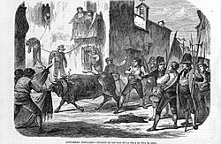 Archivo:Toro de Sogas de Pina de Ebro