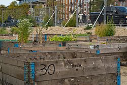 Archivo:Urban agriculture in Amsterdam