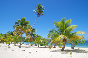 Archivo:Vieques, Puerto Rico, USA