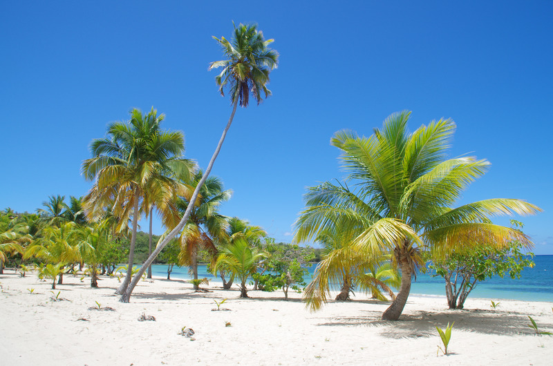 Vieques, Puerto Rico, USA