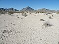 Viesca 2nd hill, Coahuila (5731028302)