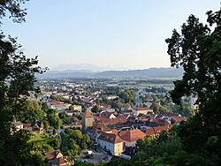 Wolfsberg Blick vom Schloss.jpg