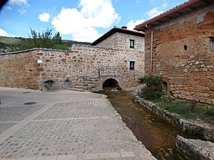Archivo:1 Alcantarilla de la Fuente. Castil de Lences-BU (2)