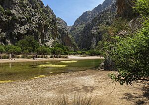 Archivo:2.0. Serra de Tramuntana. Torrent de Pareis. (Escorca, Mallorca)