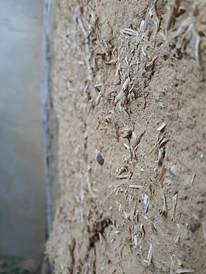Archivo:Adobe wall (detail) 1