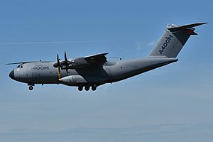 Archivo:Airbus A400M Atlas Airbus Military (AIB) "Grizzly 3" F-WWMS - MSN 003 (9645870199)