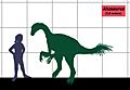 Alxasaurus SIZE