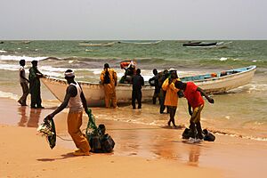 Archivo:Back from octopus fishing - Mauritania