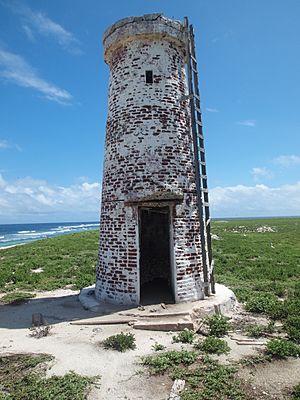 Archivo:Baker Islands Tower (14571847073)