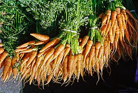 Bunches of carrots.jpg