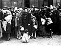Bundesarchiv Bild 183-N0827-318, KZ Auschwitz, Ankunft ungarischer Juden