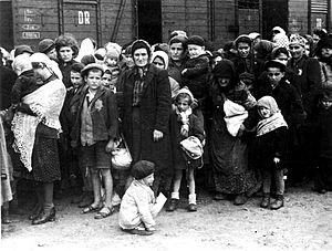 Archivo:Bundesarchiv Bild 183-N0827-318, KZ Auschwitz, Ankunft ungarischer Juden