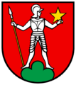 CHE Menziken COA
