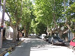Calle Balcarce.JPG