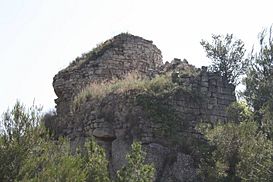 Castell de Rubió.jpg