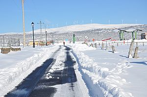 Archivo:Cerro Gorría-La Torre nieve