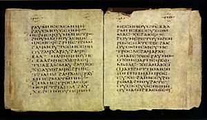 Archivo:Codex Glazier