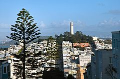 Archivo:Coit Tower from Russian Hill