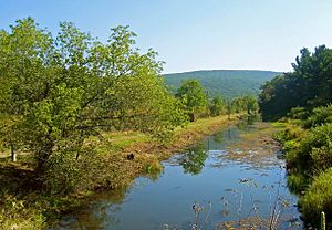 Archivo:Delaware and Hudson Canal near Summitville, NY