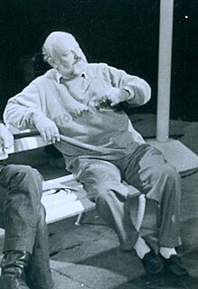 Dusan Makavejev, TVNS 1989 (cropped 01).jpg