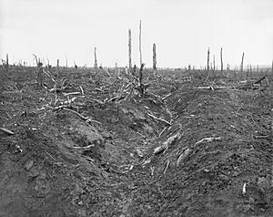 Archivo:German trench Delville Wood September 1916
