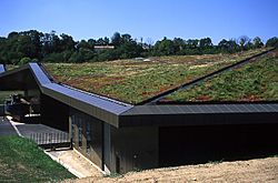 Archivo:Green Roof at Vendée Historial, les Lucs