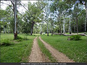 Griffiths Creek Campground, Kroombit Tops National Park.jpg