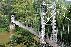 Archivo:Halloluwa Foot Bridge (Hanging Bridge) (24549139036)
