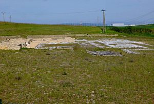 Archivo:Iruña-Veleia, antiguo oppidum romano 02