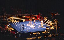 JO Atlanta 1996 - Boxe.jpg