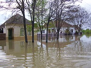 Archivo:Jasatomicflood