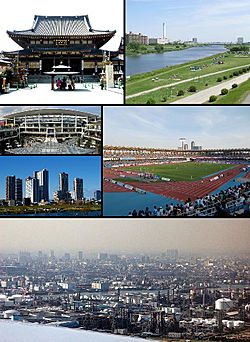 Kawasaki montage.jpg