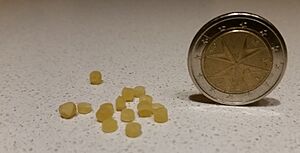 Archivo:Kusksu - The Miniature Pasta