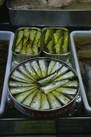 Archivo:Latas de Sardinas en aceite de oliva-Madrid