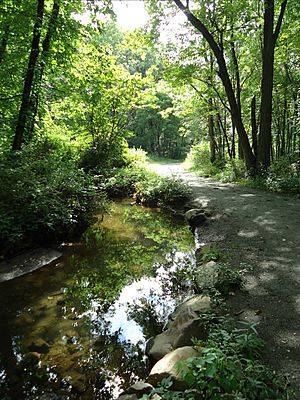 Archivo:Loantaka Brook Reservation bikeway horse path and stream and reflections