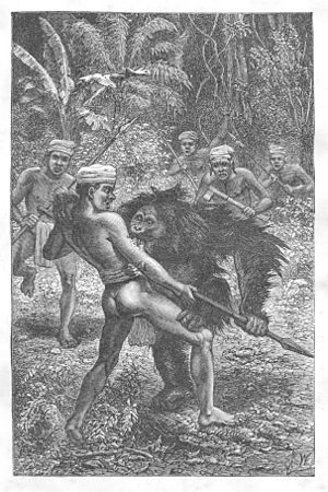 Archivo:Malay Archipelago Orang-Utan attacked by Dyaks