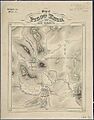 Map of Pilot Knob, Mo., and Vicinity. Wm. Hoelcke, Captn. & Addl. A. de C. - NARA - 305779