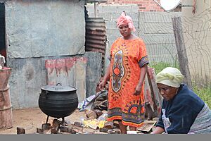 Archivo:Modern day cooking in KwaZulu Natal