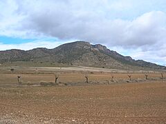 Mojantes Caravaca de la Cruz desde Casa Blanca