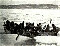Nanook of the North (1922) - Hunt