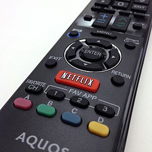 Archivo:Netflix button on Sharp Aquos remote 20131106