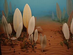 Archivo:Precambrian sea