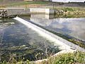 Presa San Roman Ahogaborricos
