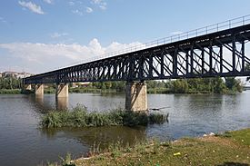 Puente del Ferrocarril (Zamora) - 01.JPG